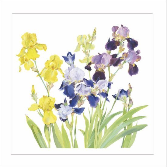 wenskaart woodmansterne - iris