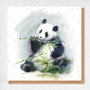 wenskaart fine art - panda