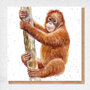 wenskaart fine art - orang oetan