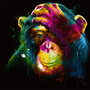 vierkante ansichtkaart met envelop patrice murciano - chimpansee