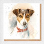 wenskaart fine art - jack russell hond