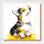 wenskaart fine art - hond met vlinder - corgi