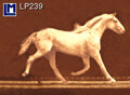 3d ansichtkaart - lenticulaire kaart -  Muybridge paard