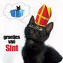 vierkante sinterklaas ansichtkaart met envelop - groetjes van sint - kitten