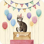 vierkante ansichtkaart met envelop - happy birthday - kat