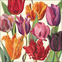 wenskaart woodmansterne emma bridgewater - tulpen