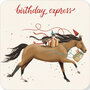 vierkante ansichtkaart met envelop van Rosie Hilyer - birthday express - paard en kat