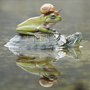 wenskaart woodmansterne - toren met schildpad, kikker en slak