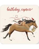 vierkante ansichtkaart met envelop van Rosie Hilyer - birthday express - paard en kat | muller wenskaarten