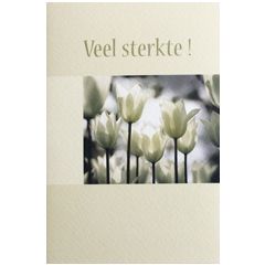 wenskaart - veel sterkte - tulpen | muller wenskaarten