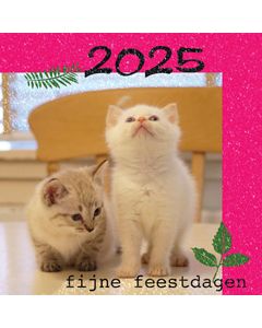 5 vierkante kerstkaarten - 2025 fijne feestdagen - kittens | muller wenskaarten