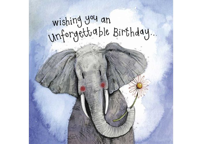 provincie tactiek legaal verjaardagskaart alex clark - wishing you an unforgettable birthday -  olifant|Muller wenskaarten