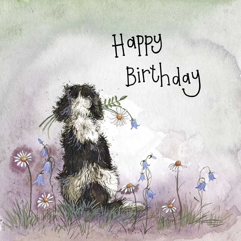 Tol Afdeling Reageren verjaardagskaart alex clark - happy birthday - hond met bloemen|Muller  wenskaarten