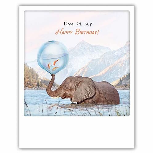 compileren Junior abortus ansichtkaart instagram pickmotion - live it up happy birthday - olifant en  goudvissen|Muller wenskaarten